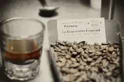 巴拿马翡翠庄园 埃斯美拉达庄园 精品咖啡 瑰夏咖啡最新资讯