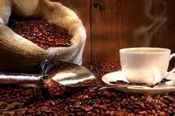精品咖啡豆 哥斯达黎加咖啡最新介绍 风味独特