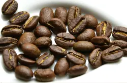 世界精品咖啡豆：埃塞俄比亚洁帝普可可娜处理厂水洗耶加雪菲G1