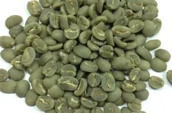 世界精品咖啡豆：苏门答腊 托巴湖 蓝湖曼特宁 奶油核桃味