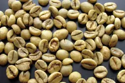 世界精品咖啡庄园印尼咖啡豆:印尼爪哇罗布斯塔生豆的介绍