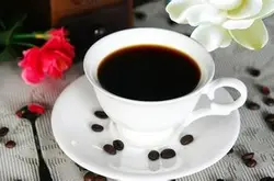 精品咖啡豆 蓝山咖啡最新介绍及资讯 风味独特 口感十足