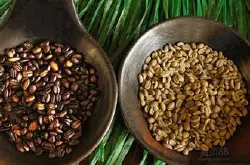 埃塞俄比亚咖啡 耶加雪菲咖啡 精品咖啡豆 风味独特