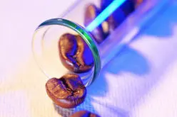 关于咖啡豆的事 一颗咖啡豆里的主要含量分析 咖啡豆里有哪些成分