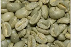 非洲产区埃塞俄比亚国家瑰夏 强烈浓郁的水果香味特征性咖啡豆