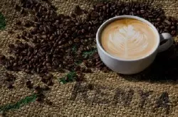 精品咖啡豆 肯尼亚咖啡 最新咖啡介绍及资讯