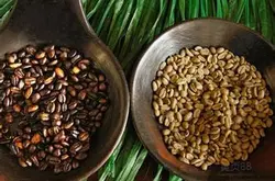 埃塞俄比亚咖啡 精品咖啡 最新咖啡介绍 耶加雪菲咖啡豆