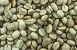 生豆选择应该注意哪些细节？通过外观咖啡豆去辨别好坏之分