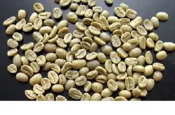 美洲产区墨西哥国家咖啡豆 具有柔滑、醇厚、芳香诱人的风味特征