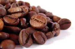 南美洲产区加拉帕戈斯群岛咖啡豆 具有高酸度特硬咖啡豆(SHB)特征