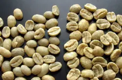 首次检出咖啡果小蠹 厦门入境截获生咖啡豆中检出检疫性有害生物