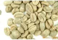 非洲产区扎依尔咖啡豆 具有浓郁芳香，适度可口的风味性特征