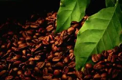 精品咖啡豆 埃塞俄比亚咖啡 最新咖啡介绍 风味独特 口感十足