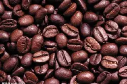 精品咖啡豆 肯尼亚咖啡 肯尼亚AA咖啡 最新咖啡介绍及资讯