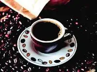 乞力马扎罗咖啡 精品咖啡生豆 最新咖啡介绍 风味独特