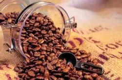 精品咖啡豆 巴西咖啡 最新咖啡风味介绍 口感详情介绍