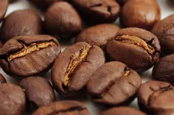 非洲咖啡庄园 埃塞俄比亚产区依尔加可菲咖啡豆 略带花香味