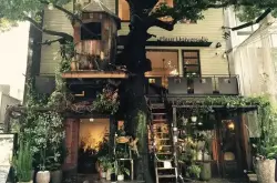 日剧里那些很棒的咖啡店 此生必去的日本浪漫咖啡馆推荐