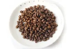 精品咖啡豆 埃塞俄比亚咖啡 耶加雪菲咖啡 水洗阿拉比卡豆