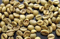 亚洲咖啡庄园也门产区摩卡咖啡豆 有风味独特，略带酒香的特征