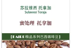苏拉维西托拿加Sulawesi Toraja咖啡豆 Toraja木桶怎么泡怎么喝？