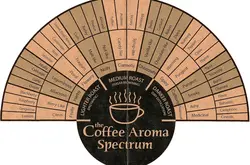 SCAA咖啡杯测流程 咖啡风味轮 咖啡香气、香味、味道及回味的介绍