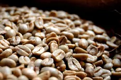 为什么要养咖啡豆？咖啡豆为什么需要养几天才喝？理由是什么？