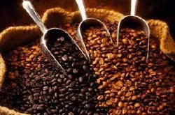 肯尼亚咖啡的起源 肯尼亚咖啡 肯尼亚咖啡的现状及发展前景！