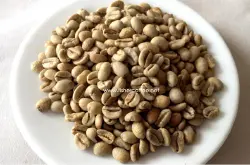 非洲埃塞俄比亚产区瑰夏(Geisha)的种精品咖啡豆的独特花香风味