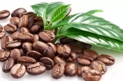 亚洲印度尼西亚的苏门答腊曼特宁精品咖啡豆的口感和产地介绍