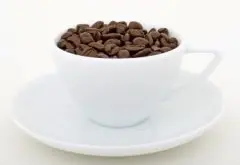 精品咖啡豆的特点