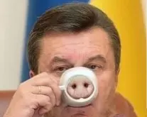 恶搞咖啡杯—猪鼻子杯