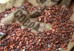 生咖啡豆的加工方法