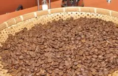 埃塞俄比亚-耶加雪菲咖啡豆yirgacheffe