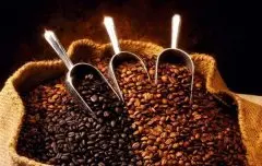 咖啡豆的一生 为何要养豆