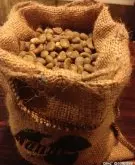 高品质咖啡豆--苏门答腊阿榭之金