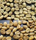 生咖啡豆的分级