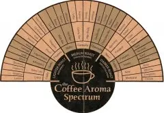 SCAA咖啡杯测流程