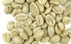 非洲咖啡生豆刚果基伍4/Kivu 4