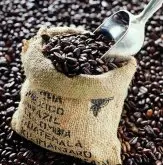 精品咖啡豆的10个必备要素
