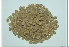 烘焙哥伦比亚顶级绿宝石咖啡豆