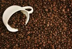 咖啡豆的生产及加工过程