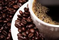 咖啡的溯源