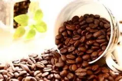 咖啡豆的基本识别