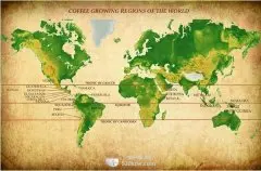 非洲咖啡产国