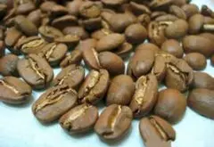 中美洲的特产 精品单品萨尔瓦多咖啡豆