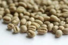 危地马拉最著名的精品咖啡 薇薇特南果咖啡豆