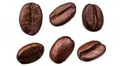 （转）如何鉴别好的咖啡豆？和挑选咖啡豆