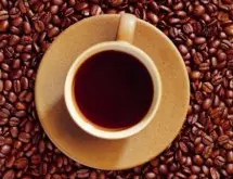 咖啡豆的生产过程分享