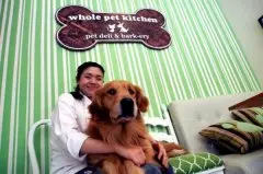 菲另类咖啡馆为宠物狗设菜单 鼓励人狗同桌进餐